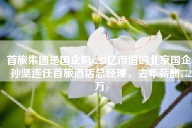 首旅集团是国企吗(223亿市值的北京国企，孙坚连任首旅酒店总经理，去年薪酬772万)