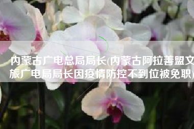 内蒙古广电总局局长(内蒙古阿拉善盟文旅广电局局长因疫情防控不到位被免职)