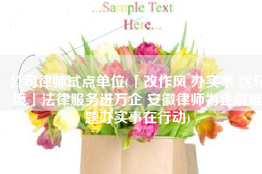 公司律师试点单位(「改作风 办实事 优环境」法律服务进万企 安徽律师为企解难题办实事在行动)