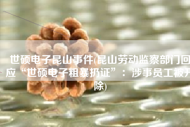世硕电子昆山事件(昆山劳动监察部门回应“世硕电子粗暴扔证”：涉事员工被开除)