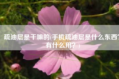 疏油层是干嘛的(手机疏油层是什么东西？有什么用？)