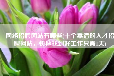 网络招聘网站有哪些(十个靠谱的人才招聘网站，快速找到好工作只需1天)