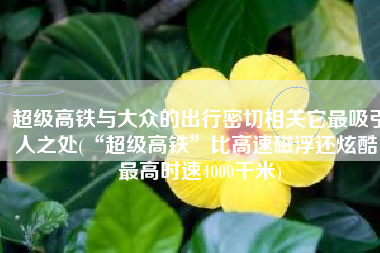 超级高铁与大众的出行密切相关它最吸引人之处(“超级高铁”比高速磁浮还炫酷，最高时速4000千米)