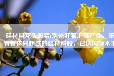 硅材料龙头股票(别光盯着沪硅产业，来看看这只超跌的硅材料股，已达国际水平...)