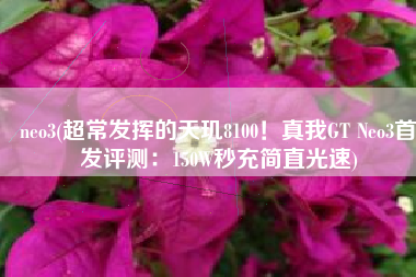neo3(超常发挥的天玑8100！真我GT Neo3首发评测：150W秒充简直光速)