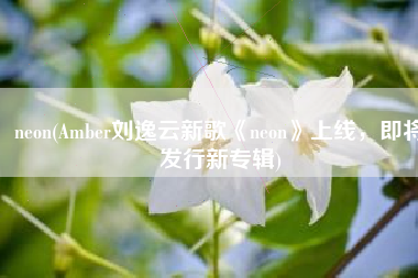 neon(Amber刘逸云新歌《neon》上线，即将发行新专辑)