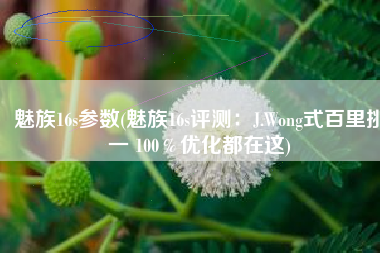 魅族16s参数(魅族16s评测：J.Wong式百里挑一 100％优化都在这)