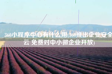 360小程序中心有什么用(360推出企业安全云 免费对中小微企业开放)