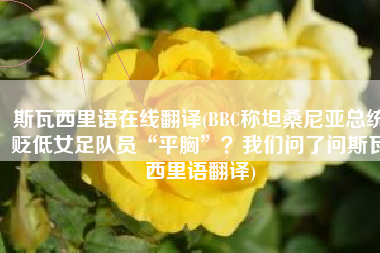 斯瓦西里语在线翻译(BBC称坦桑尼亚总统贬低女足队员“平胸”？我们问了问斯瓦西里语翻译)