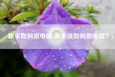 新手如何做电商(新手该如何做电商？)