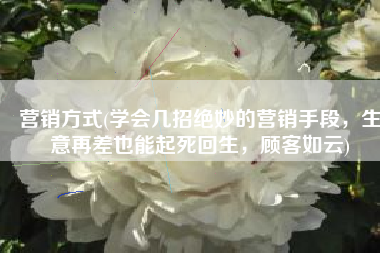营销方式(学会几招绝妙的营销手段，生意再差也能起死回生，顾客如云)