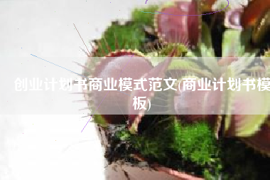 创业计划书商业模式范文(商业计划书模板)