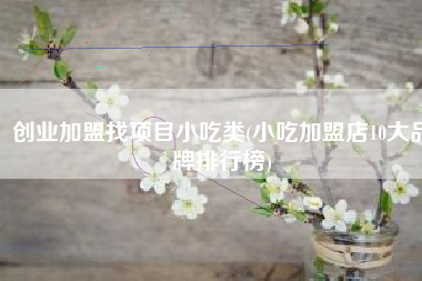 创业加盟找项目小吃类(小吃加盟店10大品牌排行榜)
