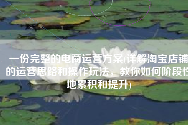 一份完整的电商运营方案(详解淘宝店铺的运营思路和操作玩法，教你如何阶段性地累积和提升)
