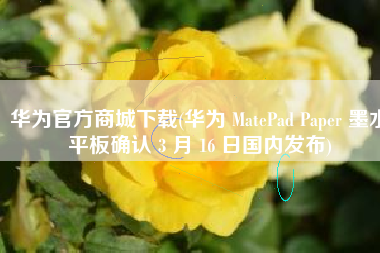 华为官方商城下载(华为 MatePad Paper 墨水平板确认 3 月 16 日国内发布)