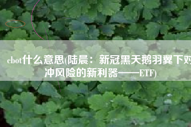cbot什么意思(陆晨：新冠黑天鹅羽翼下对冲风险的新利器——ETF)
