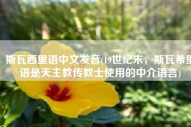 斯瓦西里语中文发音(19世纪末，斯瓦希里语是天主教传教士使用的中介语言)