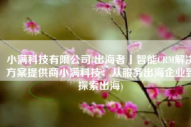 小满科技有限公司(出海者丨智能CRM解决方案提供商小满科技：从服务出海企业到探索出海)