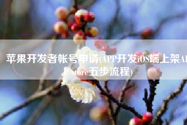 苹果开发者帐号申请(APP开发iOS端上架APP store五步流程)