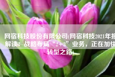 网宿科技股份有限公司(网宿科技2021年报解读：战略布局“2+3”业务，正在加快转型之路)