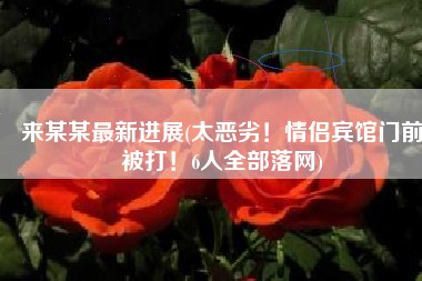 来某某最新进展(太恶劣！情侣宾馆门前被打！6人全部落网)
