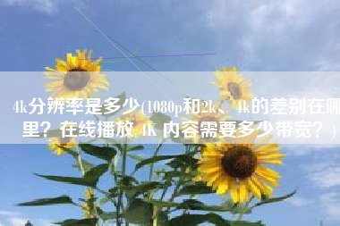4k分辨率是多少(1080p和2k、4k的差别在哪里？在线播放 4K 内容需要多少带宽？)