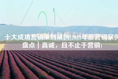 十大成功营销策划案例(2021年度营销案例盘点｜真诚，且不止于营销)