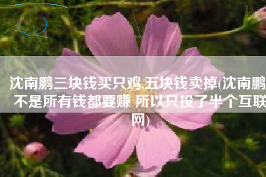 沈南鹏三块钱买只鸡,五块钱卖掉(沈南鹏：不是所有钱都要赚 所以只投了半个互联网)