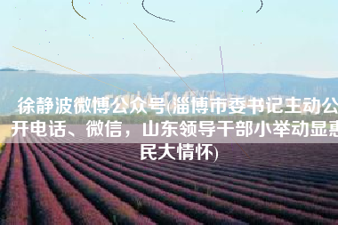 徐静波微博公众号(淄博市委书记主动公开电话、微信，山东领导干部小举动显惠民大情怀)
