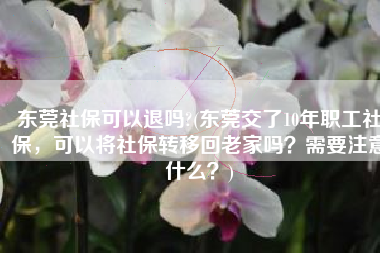 东莞社保可以退吗?(东莞交了10年职工社保，可以将社保转移回老家吗？需要注意什么？)