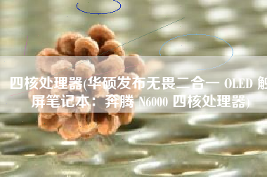 四核处理器(华硕发布无畏二合一 OLED 触屏笔记本：奔腾 N6000 四核处理器)