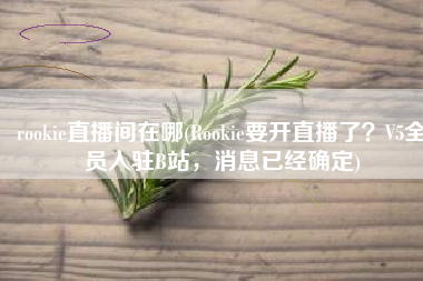 rookie直播间在哪(Rookie要开直播了？V5全员入驻B站，消息已经确定)