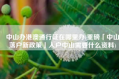中山办港澳通行证在哪里办(重磅「中山落户新政策」入户中山需要什么资料)