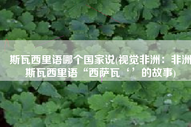 斯瓦西里语哪个国家说(视觉非洲：非洲斯瓦西里语“西萨瓦‘’的故事)