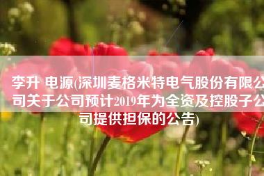 李升 电源(深圳麦格米特电气股份有限公司关于公司预计2019年为全资及控股子公司提供担保的公告)
