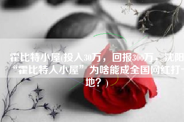 霍比特小屋(投入30万，回报300万，沈阳“霍比特人小屋”为啥能成全国网红打卡地？)