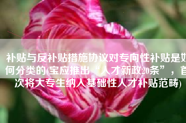 补贴与反补贴措施协议对专向性补贴是如何分类的(宝应推出“人才新政20条”，首次将大专生纳入基础性人才补贴范畴)