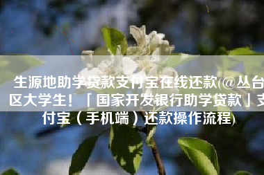 生源地助学贷款支付宝在线还款(@丛台区大学生！「国家开发银行助学贷款」支付宝（手机端）还款操作流程)
