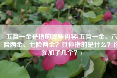 五险一金是指的哪些内容(五险一金、六险两金、七险两金？具体指的是什么？你参加了几个？)