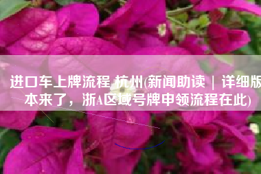 进口车上牌流程 杭州(新闻助读 | 详细版本来了，浙A区域号牌申领流程在此)