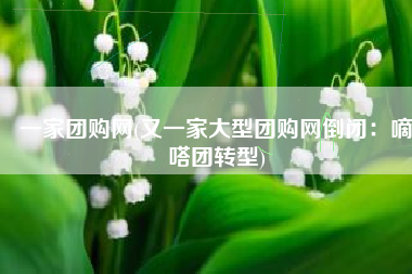 一家团购网(又一家大型团购网倒闭：嘀嗒团转型)