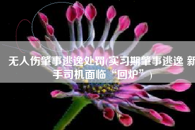 无人伤肇事逃逸处罚(实习期肇事逃逸 新手司机面临“回炉”)