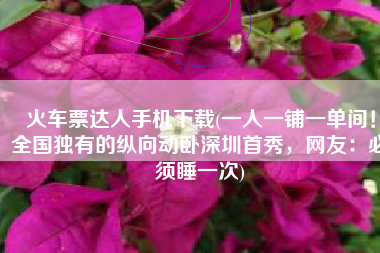 火车票达人手机下载(一人一铺一单间！全国独有的纵向动卧深圳首秀，网友：必须睡一次)