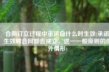 合同订立过程中承诺自什么时生效(承诺生效时合同即告成立，这一一般原则的例外情形)