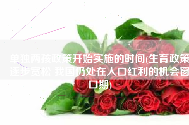 单独两孩政策开始实施的时间(生育政策逐步宽松 我国仍处在人口红利的机会窗口期)