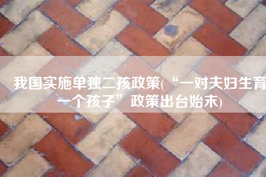 我国实施单独二孩政策(“一对夫妇生育一个孩子”政策出台始末)