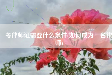 考律师证需要什么条件(如何成为一名律师)