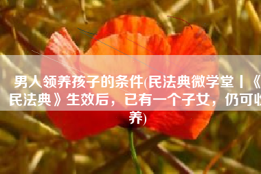 男人领养孩子的条件(民法典微学堂丨《民法典》生效后，已有一个子女，仍可收养)