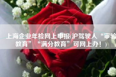 上海企业年检网上申报(沪驾驶人“审验教育”“满分教育”可网上办！)