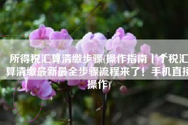 所得税汇算清缴步骤(操作指南丨个税汇算清缴最新最全步骤流程来了！手机直接操作)